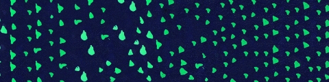 lochness Texture